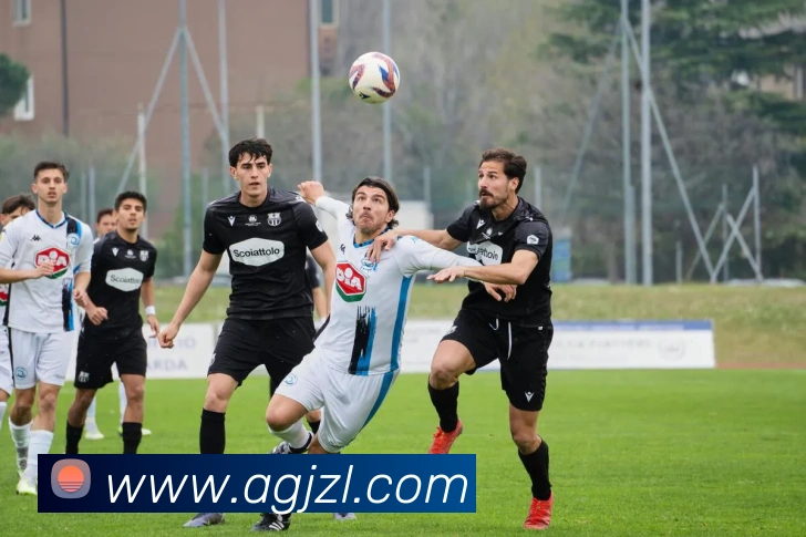 ag官网发展历程